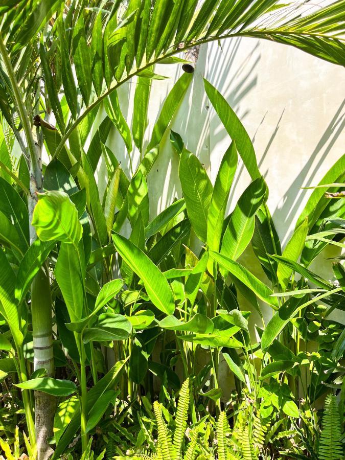 Las Flores Lombok Kuta  Eksteriør billede